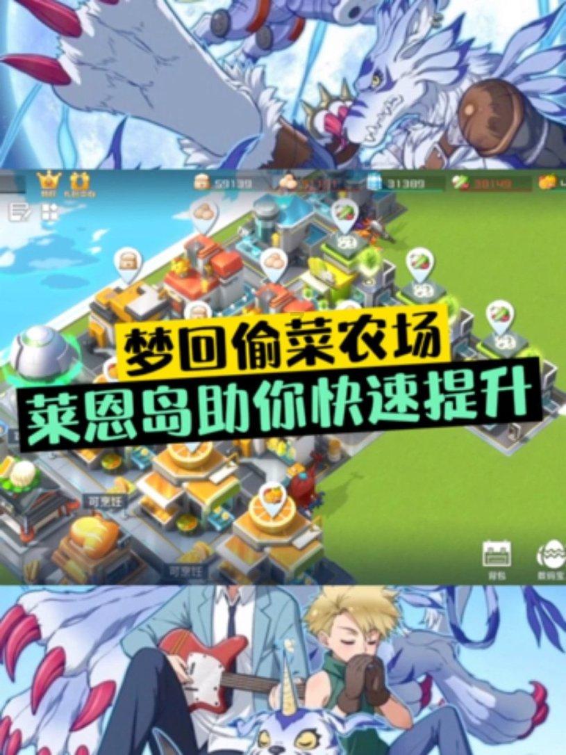 西部数据硬盘里面的install